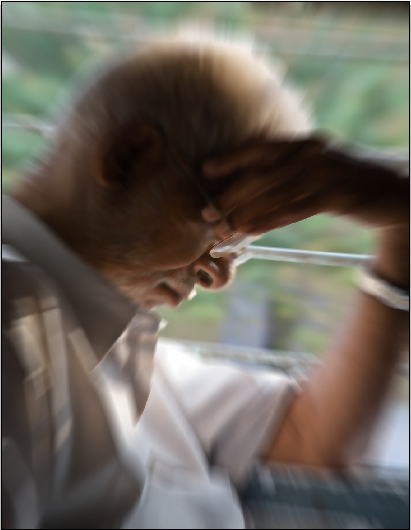 old man gets lost