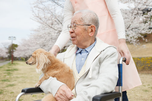 Elderly people in China