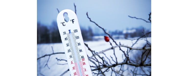Winter - Cold