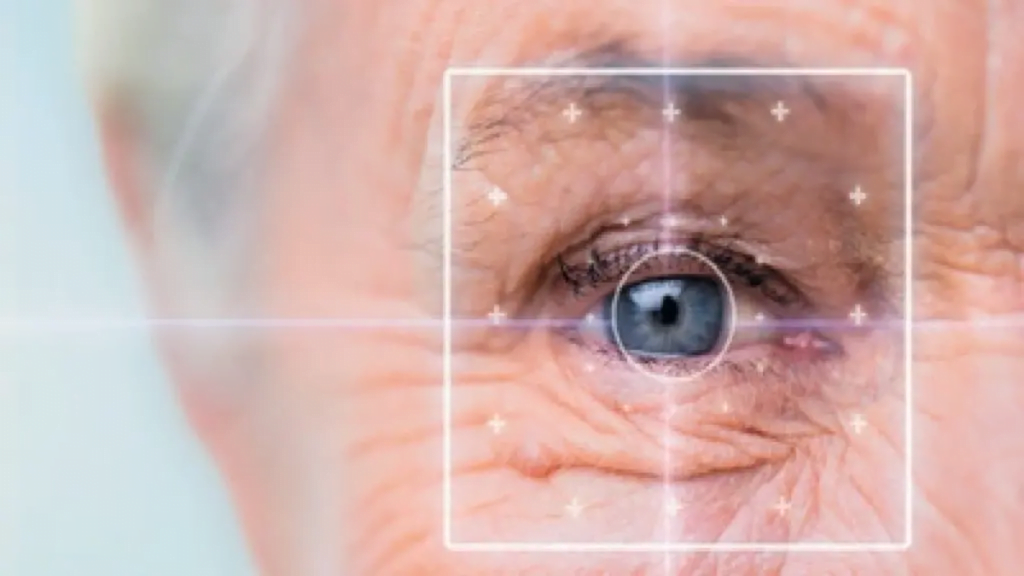 eye - low vision